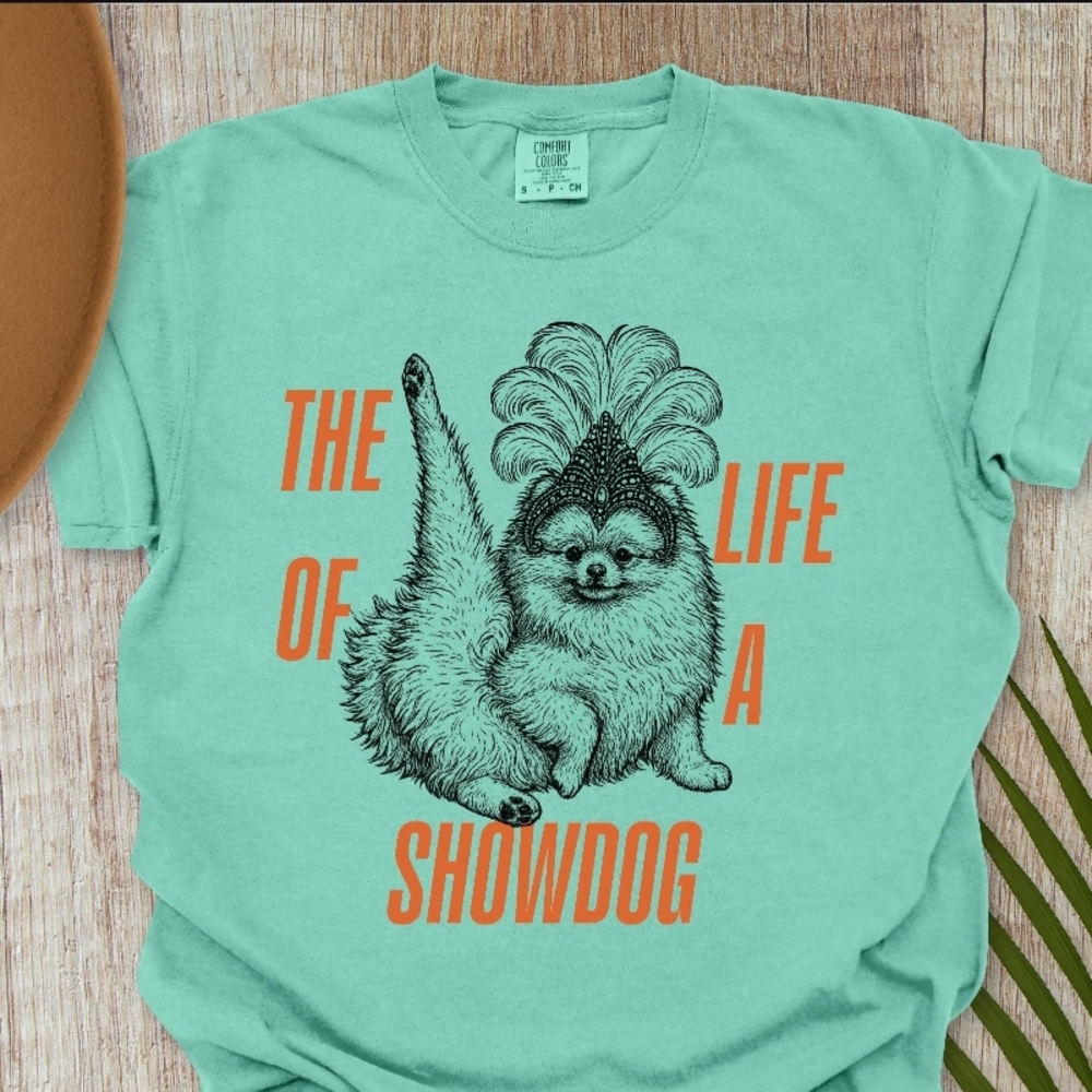 Bella Canvas Showdog Tee in Teal and Orange